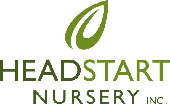 Headstart Nursery